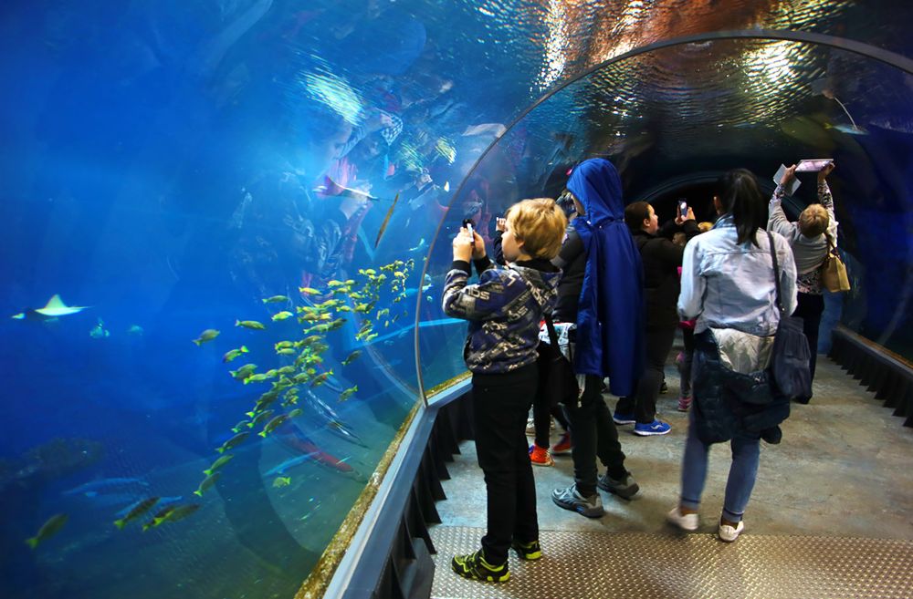 Afrykarium Wrocław