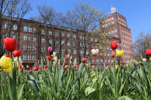 Zwiedzanie Muzeum z Przewodnikiem